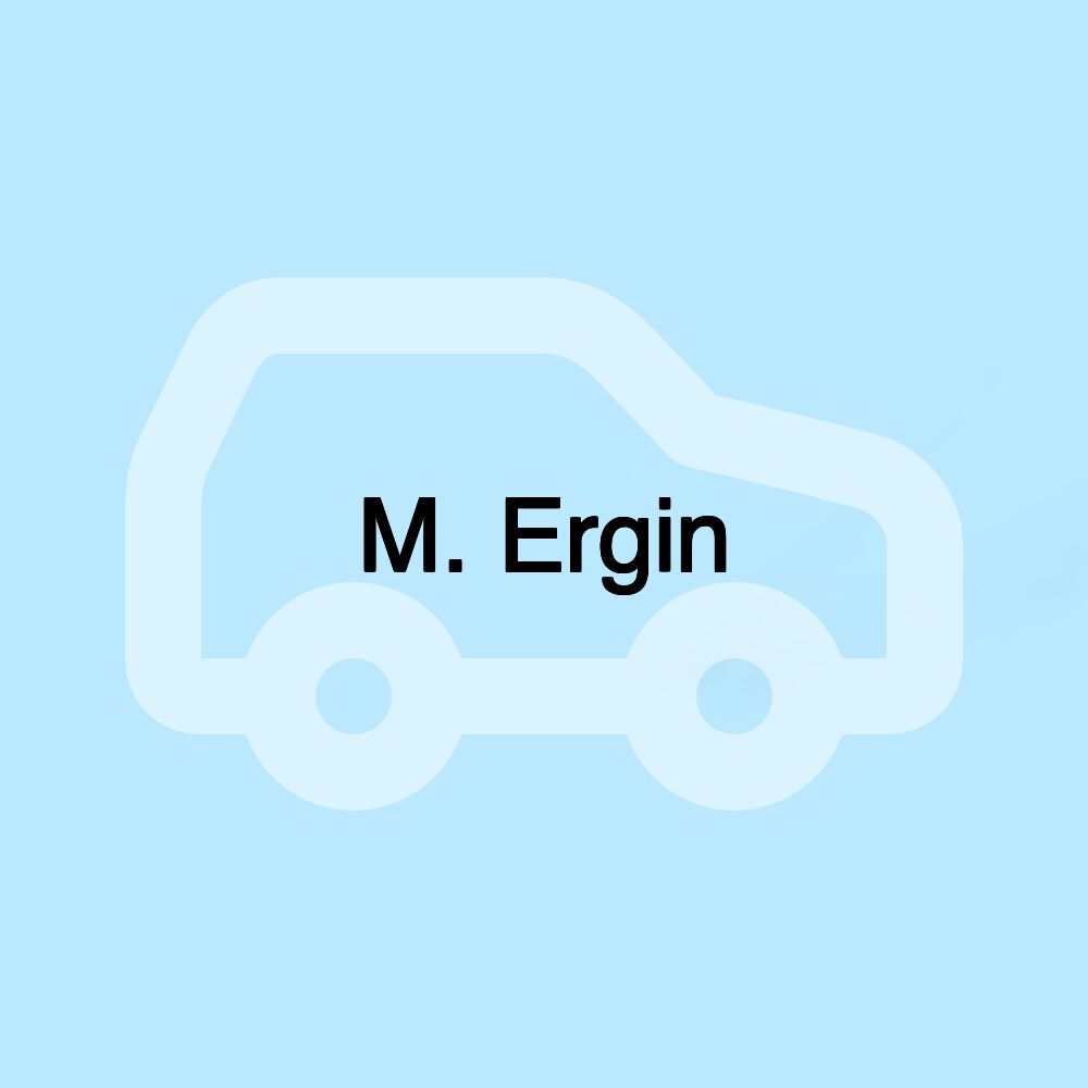 M. Ergin