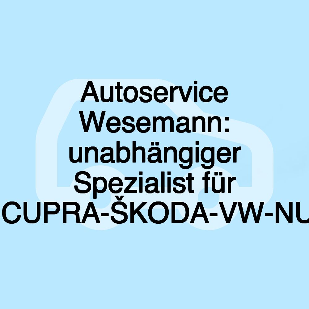 Autoservice Wesemann: unabhängiger Spezialist für VW-AUDI-SEAT-CUPRA-ŠKODA-VW-NUTZFAHRZEUGE