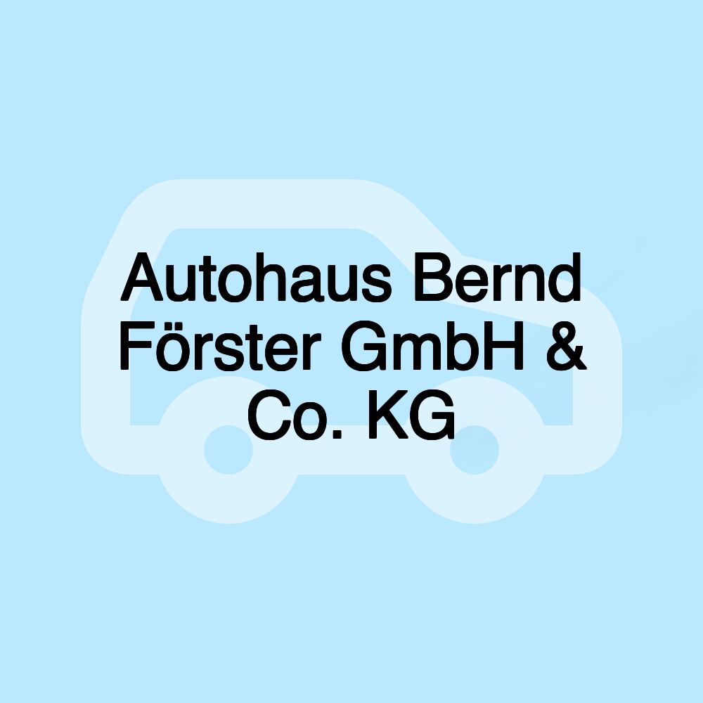 Autohaus Bernd Förster GmbH & Co. KG