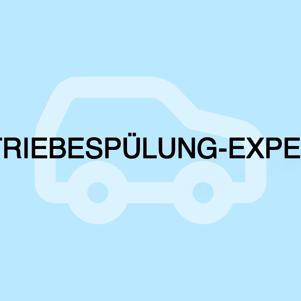 GETRIEBESPÜLUNG-EXPERTE