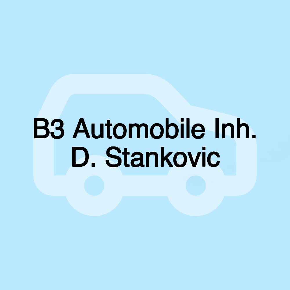 B3 Automobile Inh. D. Stankovic