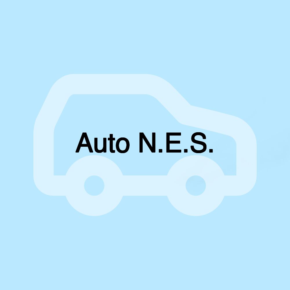 Auto N.E.S.