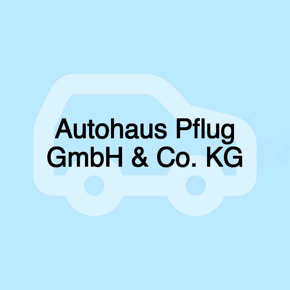 Autohaus Pflug GmbH & Co. KG