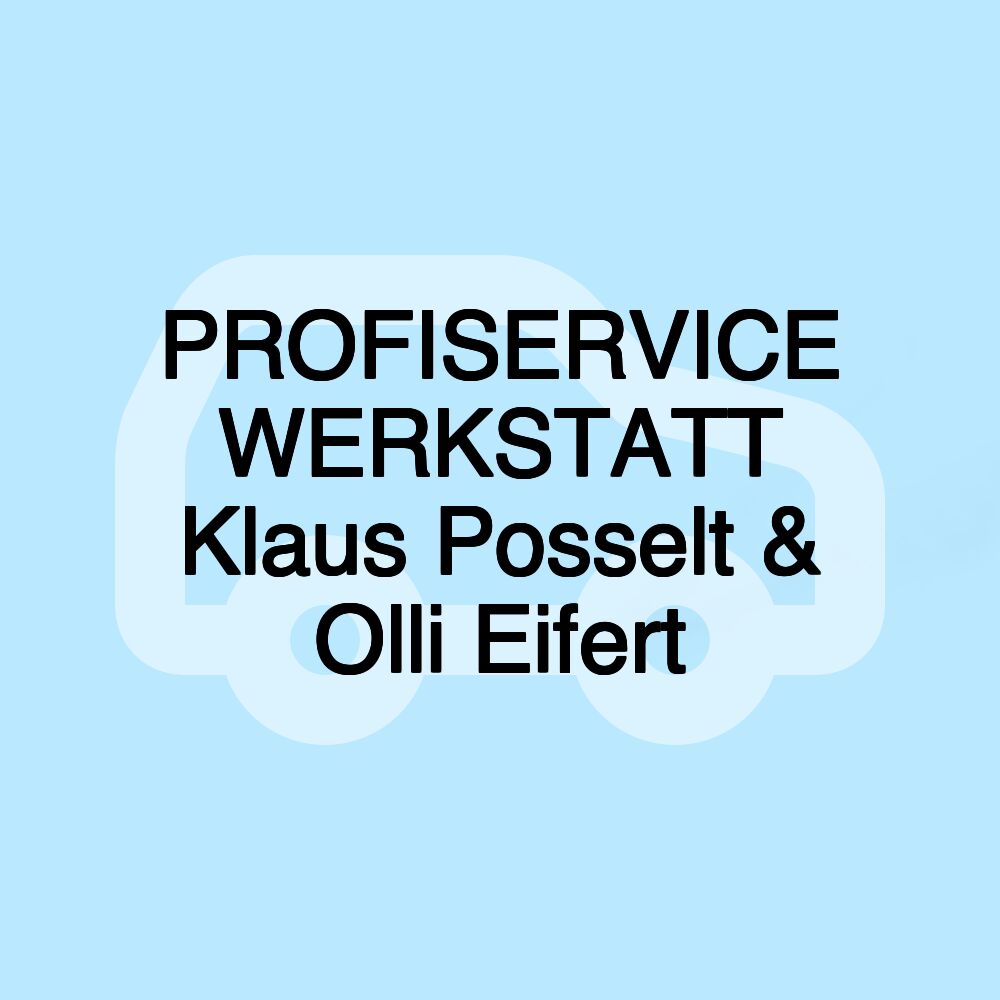 PROFISERVICE WERKSTATT Klaus Posselt & Olli Eifert