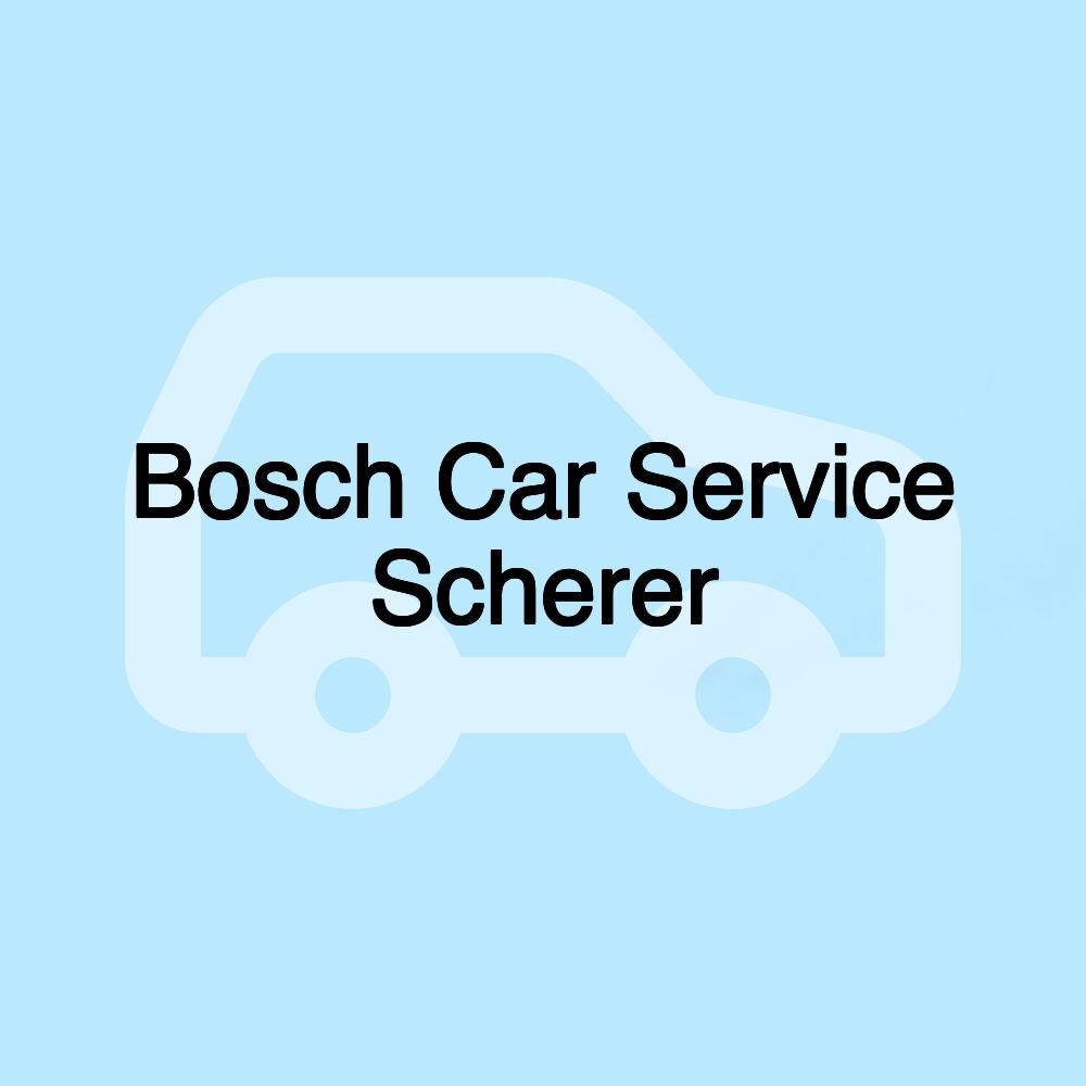 Bosch Car Service Scherer