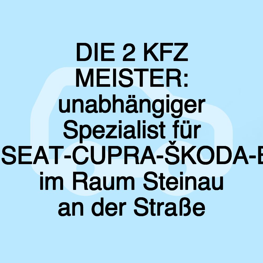 DIE 2 KFZ MEISTER: unabhängiger Spezialist für VW-AUDI-SEAT-CUPRA-ŠKODA-BMW-MINI im Raum Steinau an der Straße