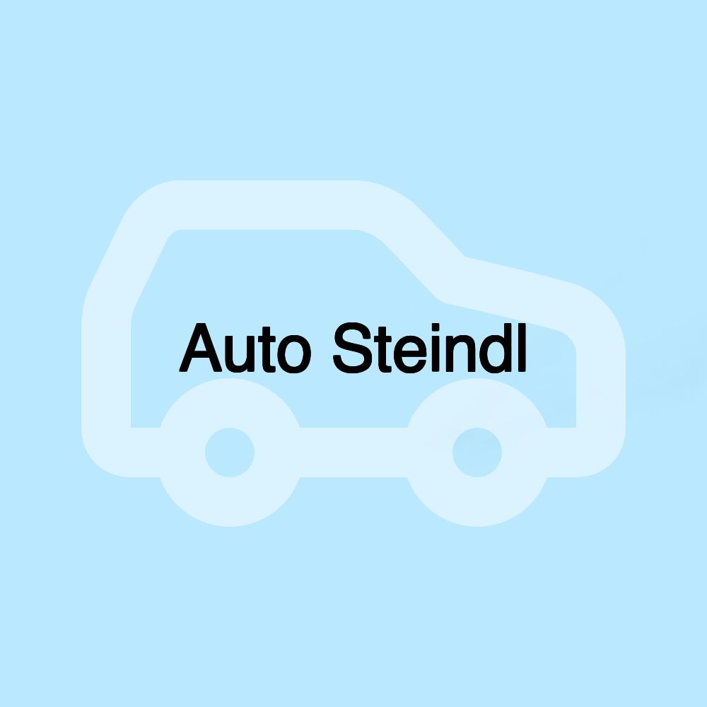 Auto Steindl